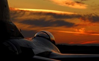 Sunset Beauty